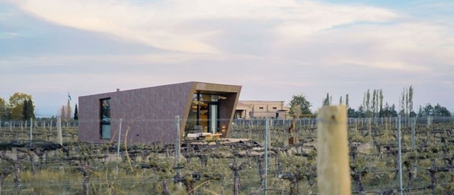 One Grape, Two Altitudes: A Mendoza Wine Journey