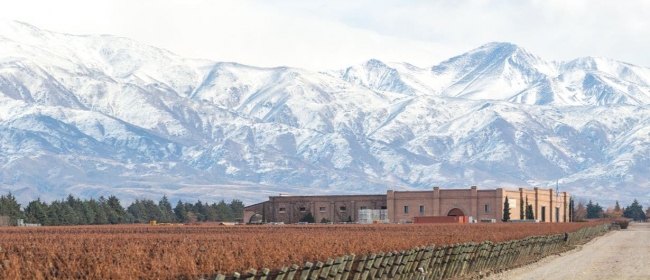 One Grape, Two Altitudes: A Mendoza Wine Journey