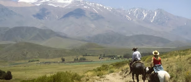 One Grape, Two Altitudes: A Mendoza Wine Journey